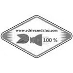 Logo-edrive